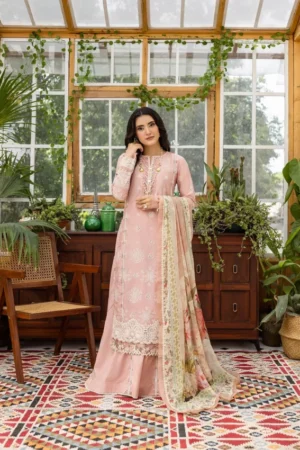 My Fashion Road Elaf Chikankari With Chiffon Latest Unstitched Collection 2025 EEC-1A Forever Blush