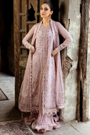 My Fashion Road Qalamkar Chiffon Unstitched Collection 2025 | WC-05