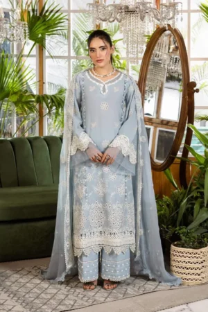 My Fashion Road Elaf Chikankari With Chiffon Latest Unstitched Collection 2025 EEC-3B Sky Dream