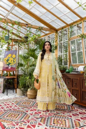 My Fashion Road Elaf Chikankari With Chiffon Latest Unstitched Collection 2025 EEC-2B Butter Bloom