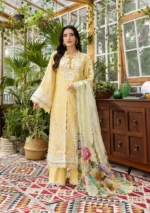 My Fashion Road Elaf Chikankari With Chiffon Latest Unstitched Collection 2025 EEC-2B Butter Bloom