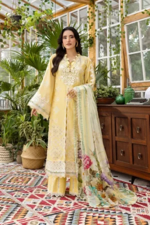 My Fashion Road Elaf Chikankari With Chiffon Latest Unstitched Collection 2025 EEC-2B Butter Bloom