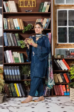 My Fashion Road Elaf Chikankari With Chiffon Latest Unstitched Collection 2025 EEC-4B Serenaire