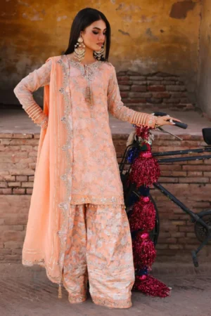 My Fashion Road Charizma Vasal Luxury Chiffon Unstitched Collection 2025 | VSL25-19
