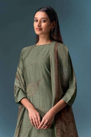 My Fashion Road Omtex Charita Exclusive Fancy Ladies Suit | 8101 – C