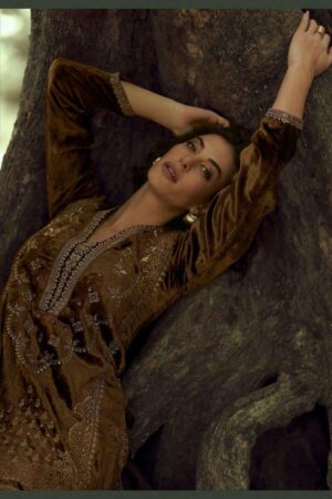 My Fashion Road Aiqa The Lady Of The Lake Latest Designer Velvet Partywear Dress | A – 1802