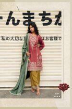 My Fashion Road Aiqa Weaves Exclusive Style Pashmina Latest Suit | A – 2509