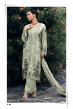 My Fashion Road Varsha Carolina Winter Wear Exclusive Pashmina Suit | CL – 03