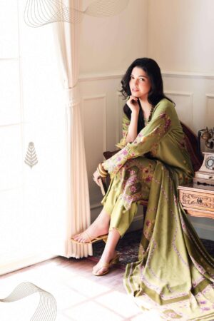 My Fashion Road Varsha Orion Fancy Winter Wear Pashmina Suit | ON – 01