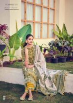 My Fashion Road Jay Vijay Hits Of Jahaan Pure Cotton Latest Suit | 8825