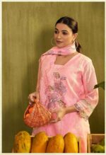 My Fashion Road Jay Vijay Shai Phal Premium Designs Ladies Suit | 912