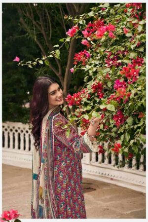 My Fashion Road Jay Vijay Mahek Premium Designs Cotton Suit | 10844