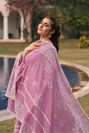 My Fashion Road Jay Vijay Mausami Pure Cotton Premium Designs Suit | 10834