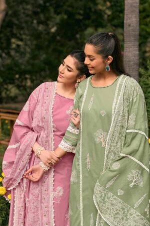 My Fashion Road Jay Vijay Mausami Pure Cotton Premium Designs Suit | 10833