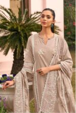 My Fashion Road Jay Vijay Mausami Pure Cotton Premium Designs Suit | 10832