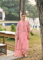 My Fashion Road Jay Vijay Resha Exclusive Fancy Ladies Suit | 10941