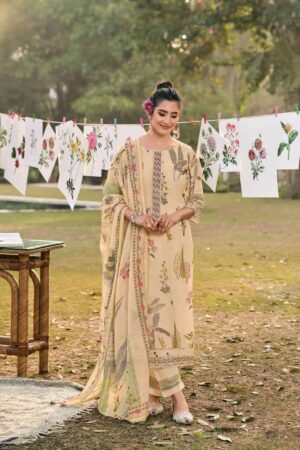 My Fashion Road Jay Vijay Resha Exclusive Fancy Ladies Suit | 10944