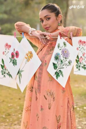 My Fashion Road Jay Vijay Resha Exclusive Fancy Ladies Suit | 10946