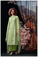 My Fashion Road Ganga Fashion Ditiya Premium Designs Cotton Suit | S4661 – B