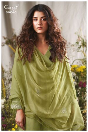 My Fashion Road Ganga Fashion Divena Premium Wear Cotton Salwar Suit | S4604 – C