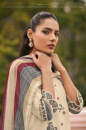 My Fashion Road Jay Vijay Chhat Premium Wear Ladies Dress | 11095