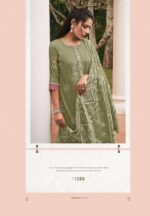 My Fashion Road Jay Vijay Jhoom Fancy Pure Organdy Suit | 11033