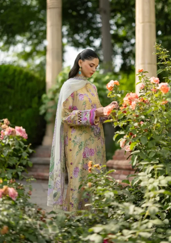 My Fashion Road Elaf Signature Embroidered Lawn with Chiffon Dupatta Vol II ’26 | 7A