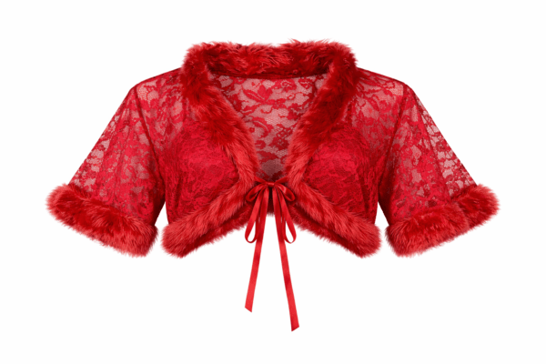 My Fashion Road Zyvera Romantic Net Babydoll Bridal Set- RED | PURPLE | BLACK