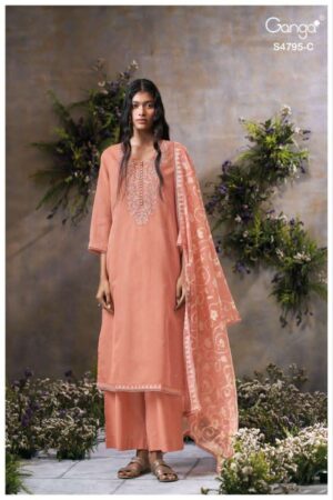 My Fashion Road Ganga Fashion Dusnea Premium Wear Ladies Suit | S4795 – C