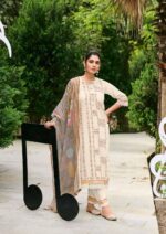 My Fashion Road Jay Vijay Harmony Premium Designs Chanderi Suit | 11203