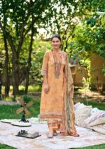 My Fashion Road Jay Vijay Shahi Shatranj Fancy Cotton Ladies Suit | 11076