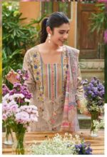 My Fashion Road Jay Vijay Rang Baari Latest Designs Cotton Suit | 11193