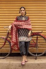 My Fashion Road Sana Safinaz Unstitched Printed Lawn Suit Vol 4 2026 | SN17