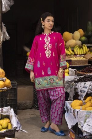 My Fashion Road Sana Safinaz Unstitched Printed Lawn Suit Vol 4 2026 | SN10