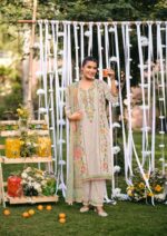 My Fashion Road Jay Vijay Rangeela Lates Designs Cotton Ladies Dress | 11295