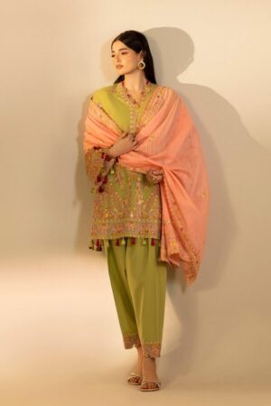 My Fashion Road Sana Safinaz Embroidered Muzlin Unstitched Suit – SS2