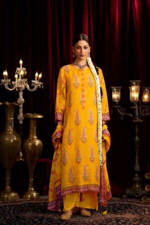 My Fashion Road Shiddat Bell Rose Exclusive Designs Organza Salwar Suit | 601 – B