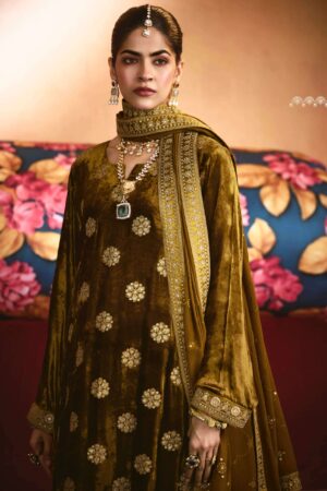 My Fashion Road Aiqa Zarnish Winter Collection Party Wear Velvet Dress | B-4